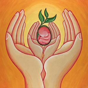 Pregnancy Fertility Cycle 