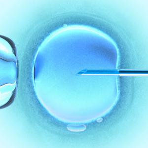 Charting Ovulation Online 
