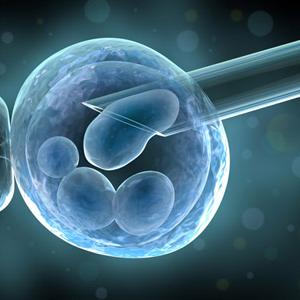 Trouble Conceiving Second Child - Organic Foods Can Help With Male Infertility Problems